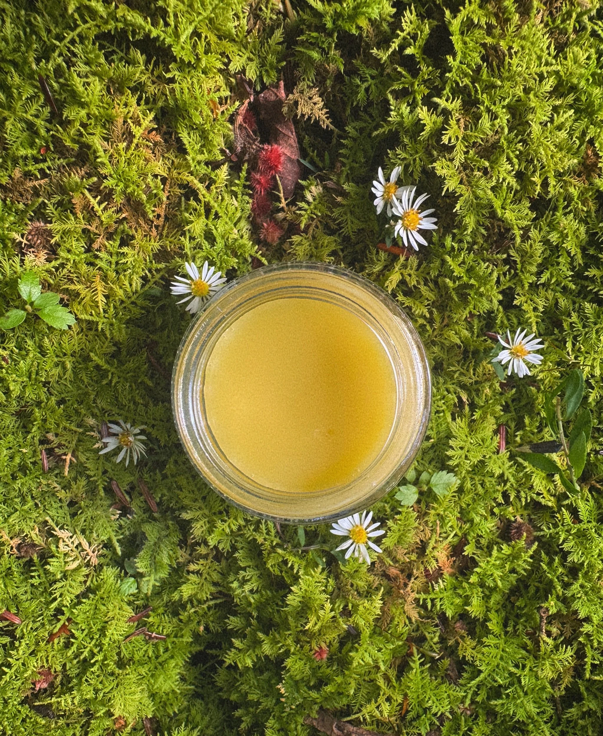 Seasonal Healing Salves