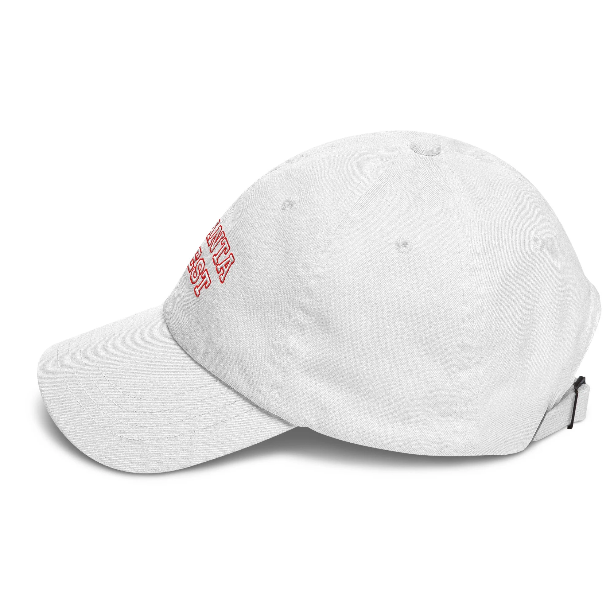 classic-dad-hat-white-left-6929fa4627e68.jpg