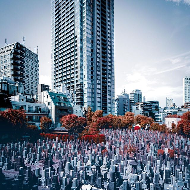 Cemetery, Roppongi Tokyo.