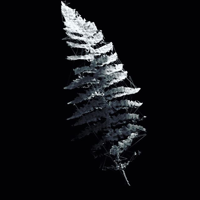 Experimentation With 3d scanning from photogrammetry.  Vertices connected with a trace algorithm.