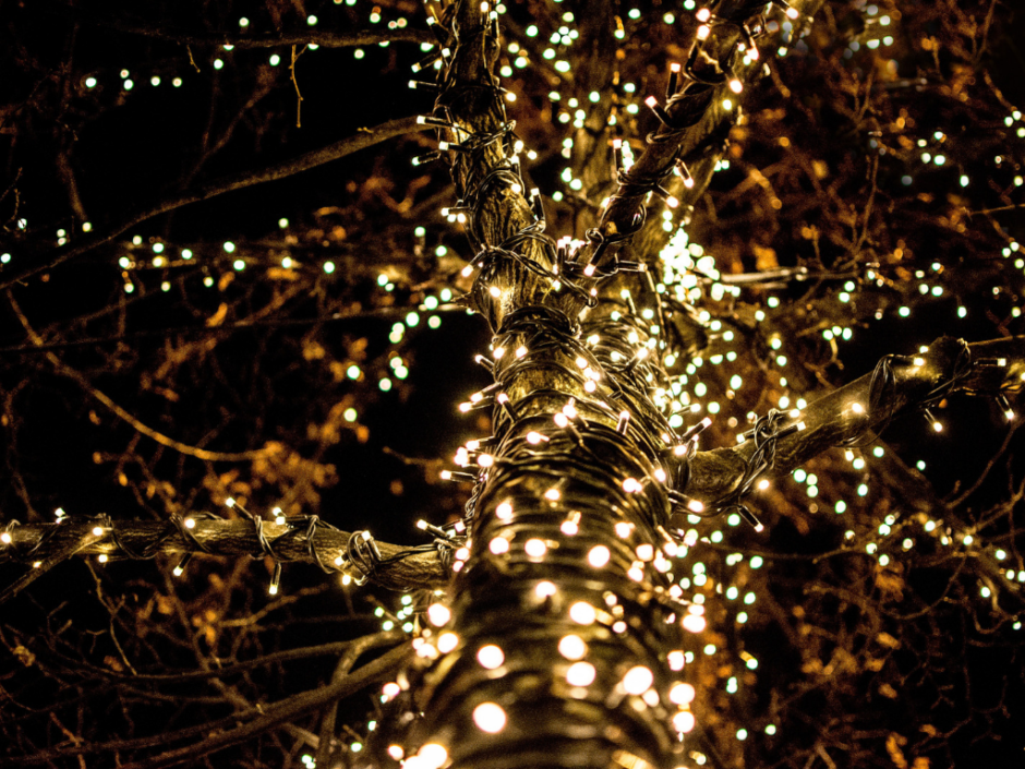 IMG-4781.PNG