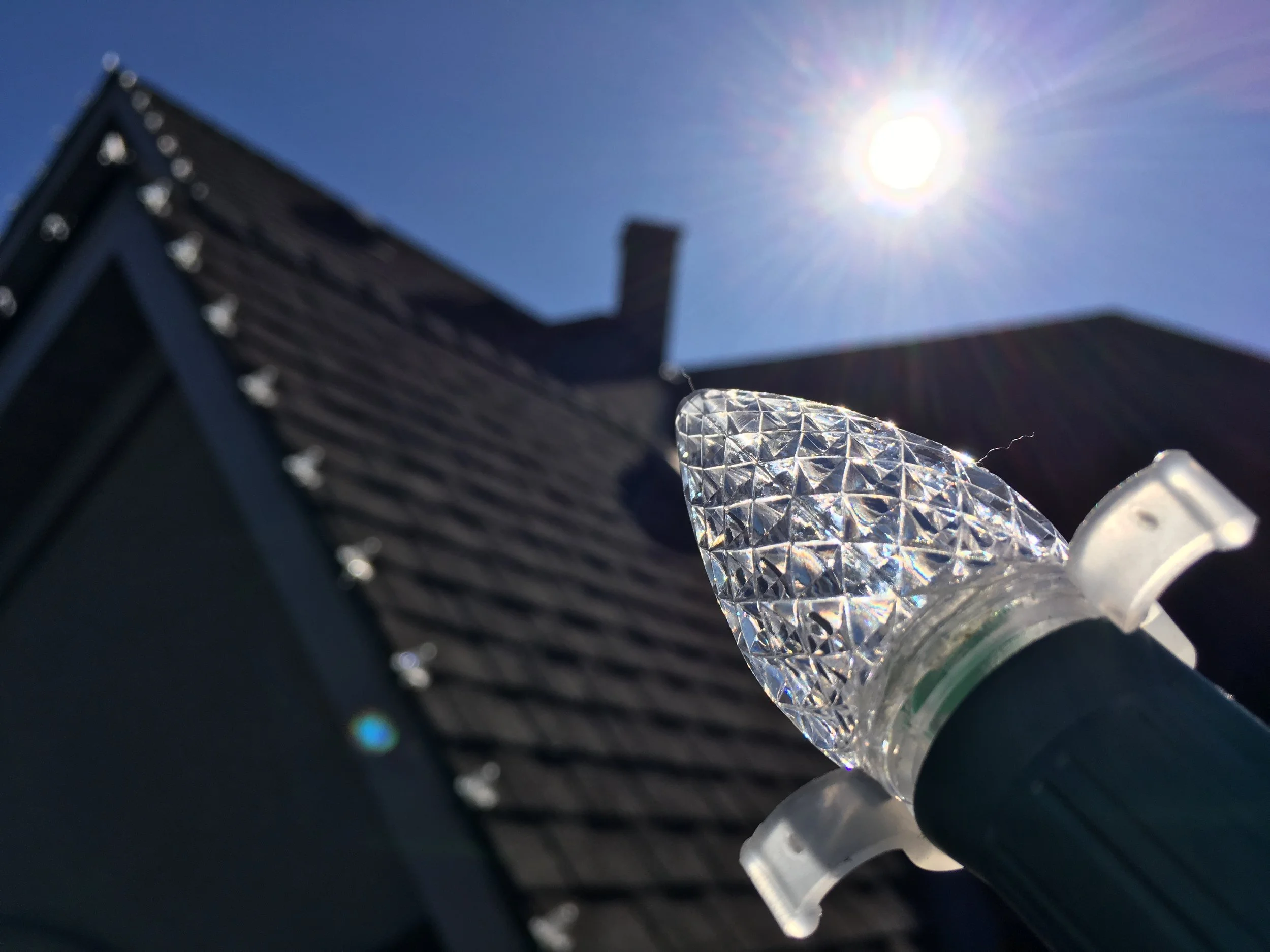 pure white bulb.jpg