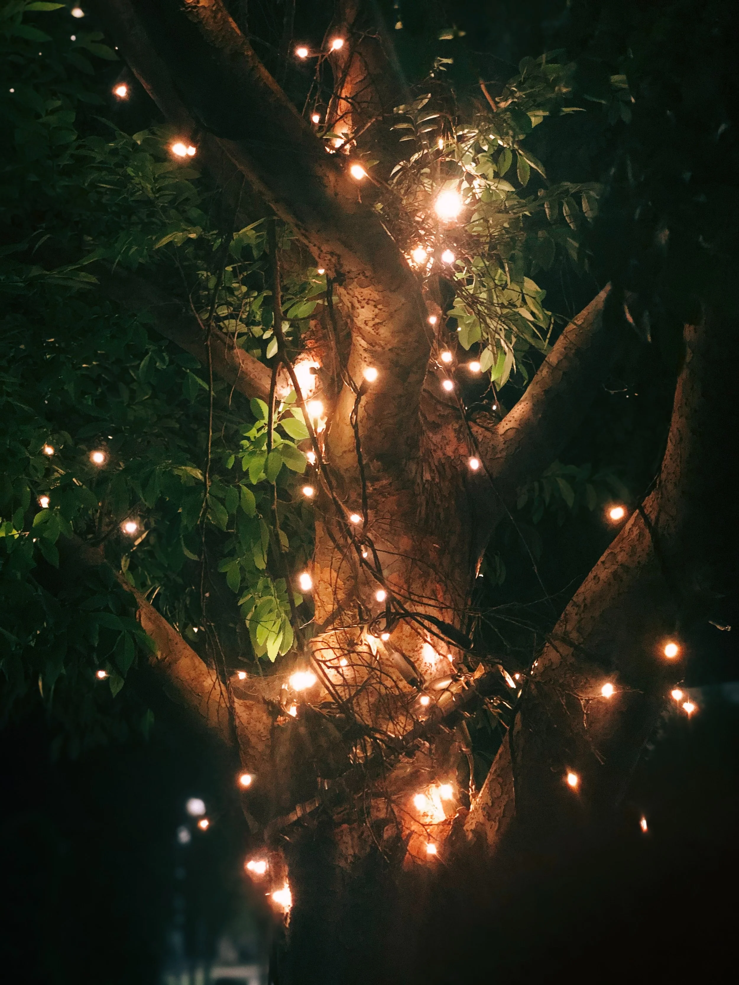 vimal-natarajan-5GGUxZ1wAI0-unsplash.jpg