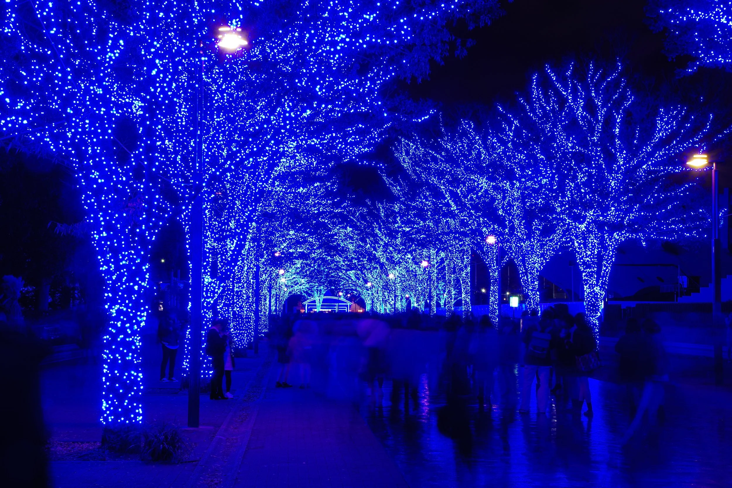 nagatoshi-shimamura-eOrvuRICrPQ-unsplash.jpg