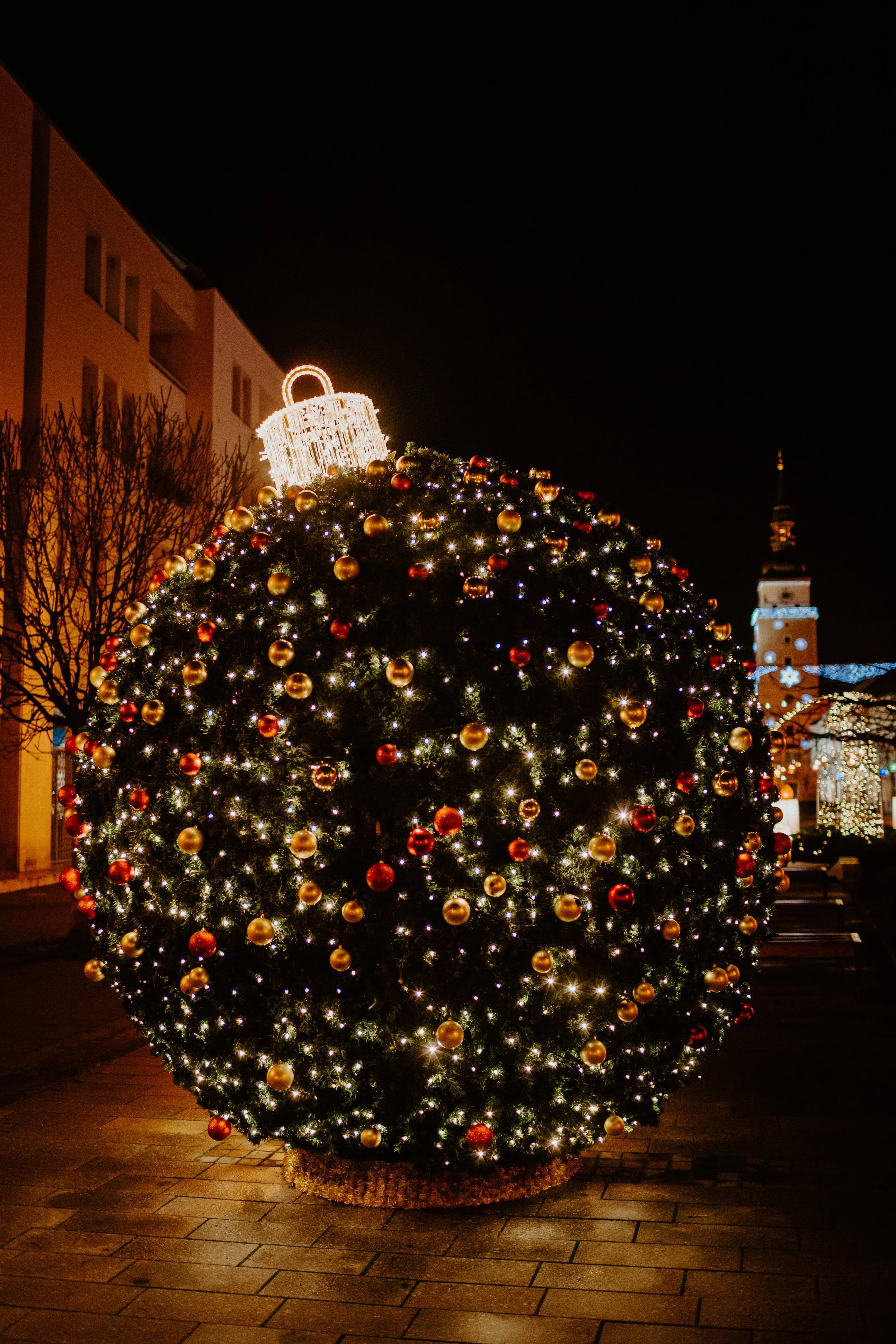 trnava-university--3zagSO8b7o-unsplash.jpg