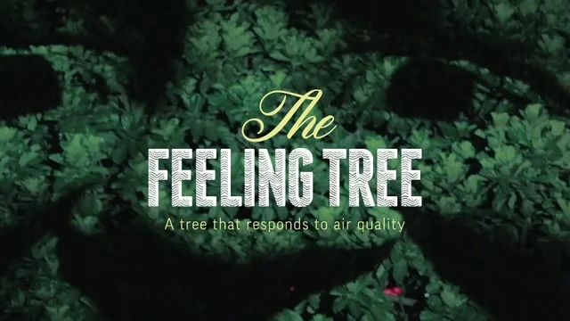 IPE - The FeelingTree - Cannes 2014