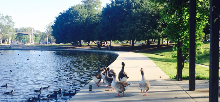 Lake Balboa