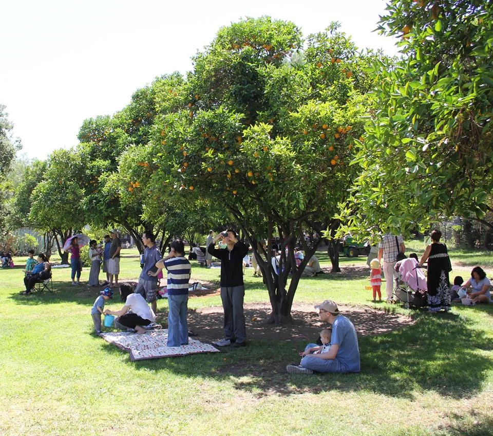 Los Encinos State Historic Park