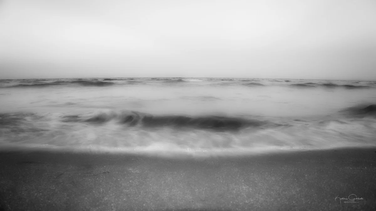 DSC09619-Editar.jpg