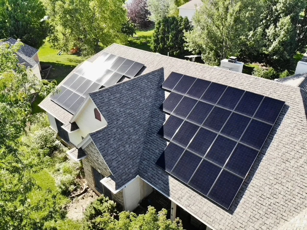 T. Newman - RM Black Panels.jpg