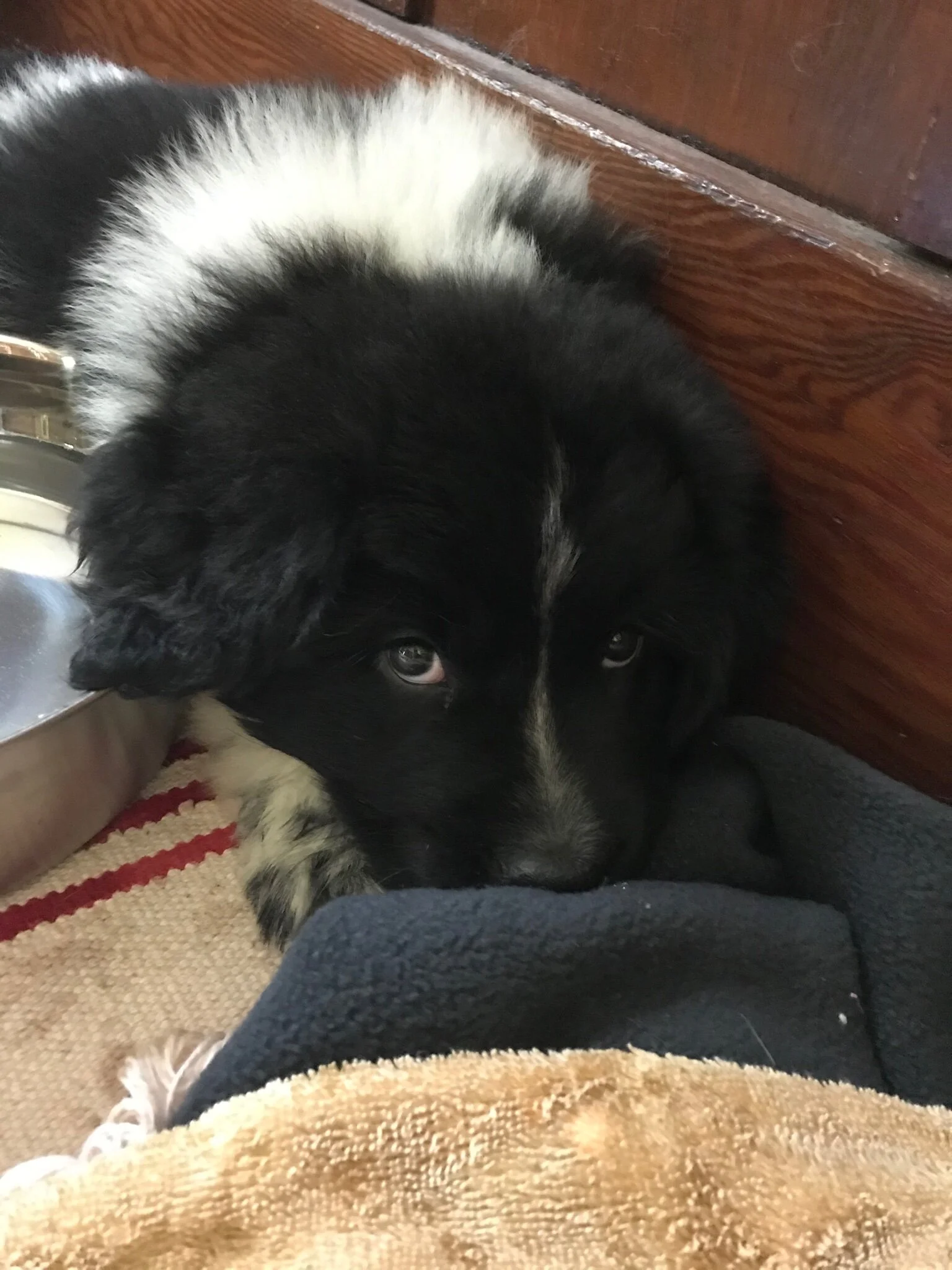 On Becoming a Parent. Again.