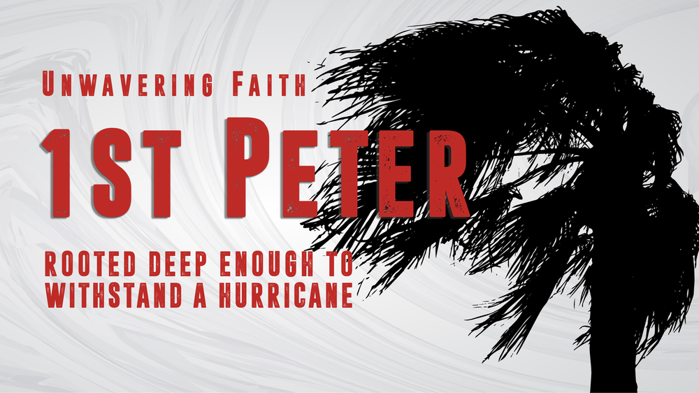 1stPeterSeries3Draft.png