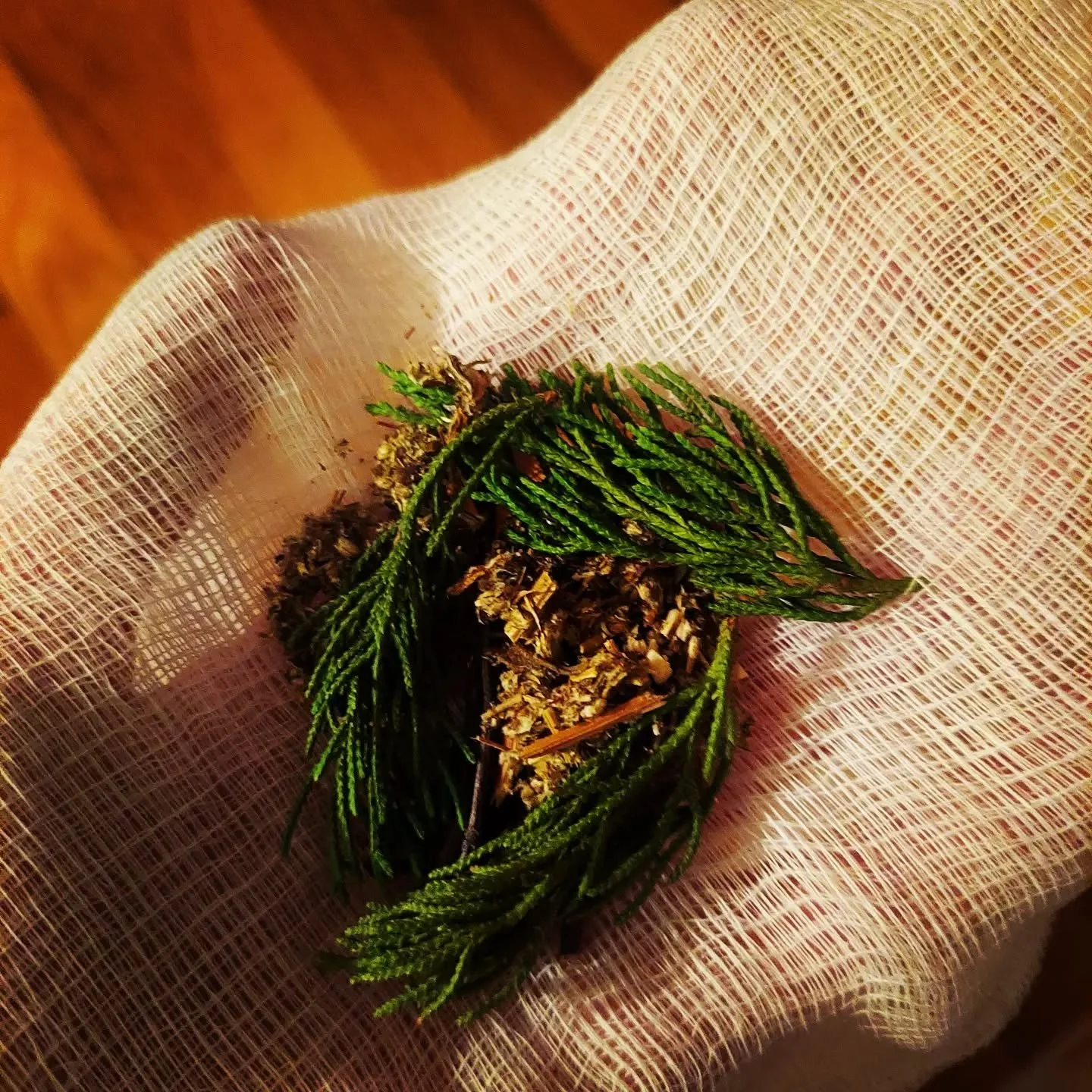 Making cleansing spray water...
1. Put herbs (pictured: juniper sprigs, birch twigs, mugwort, and lavender) in some cheesecloth. 
2. Soak it in a gallon of distilled water.
3. Charge the water.
4. Pour in spray bottles and diffusers as you like, addi