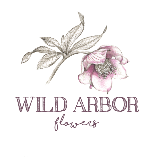 Wild Arbor Flowers