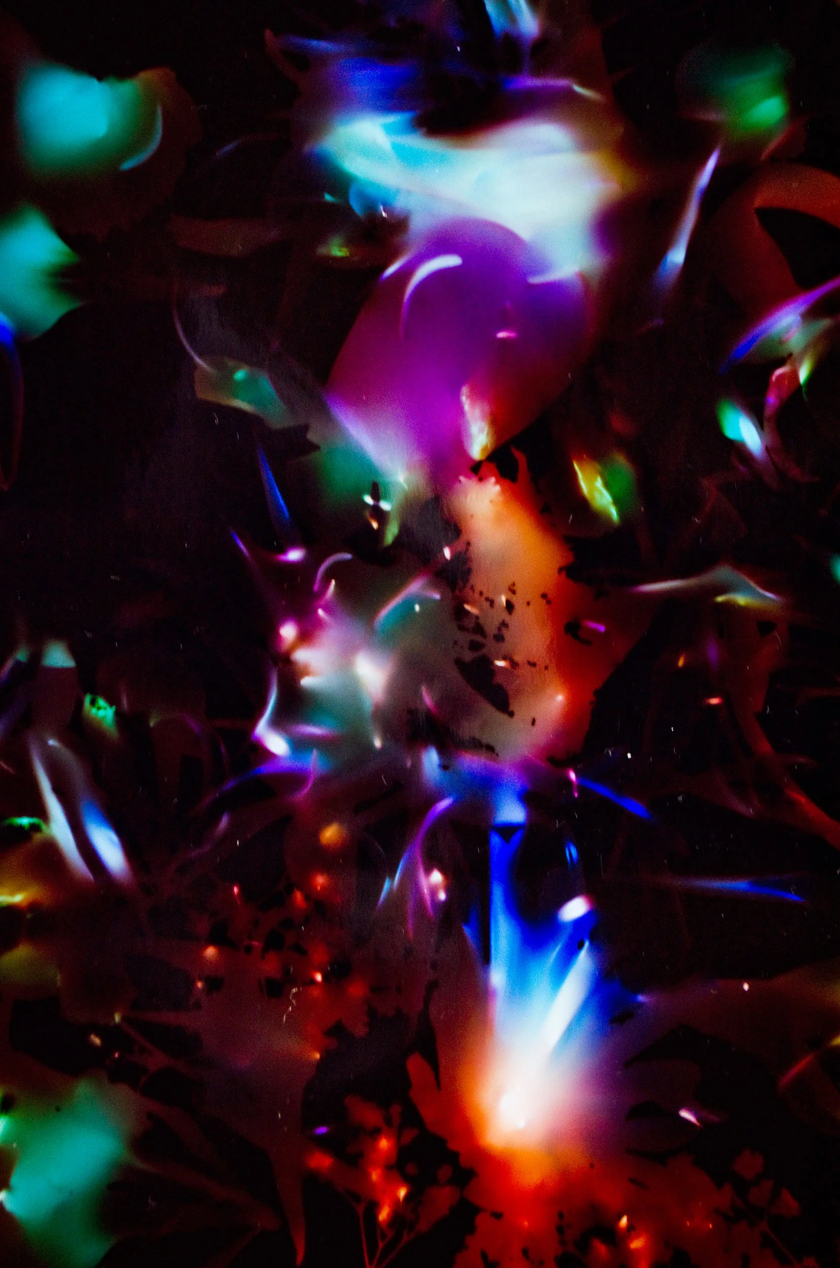 20140214_0050.jpg