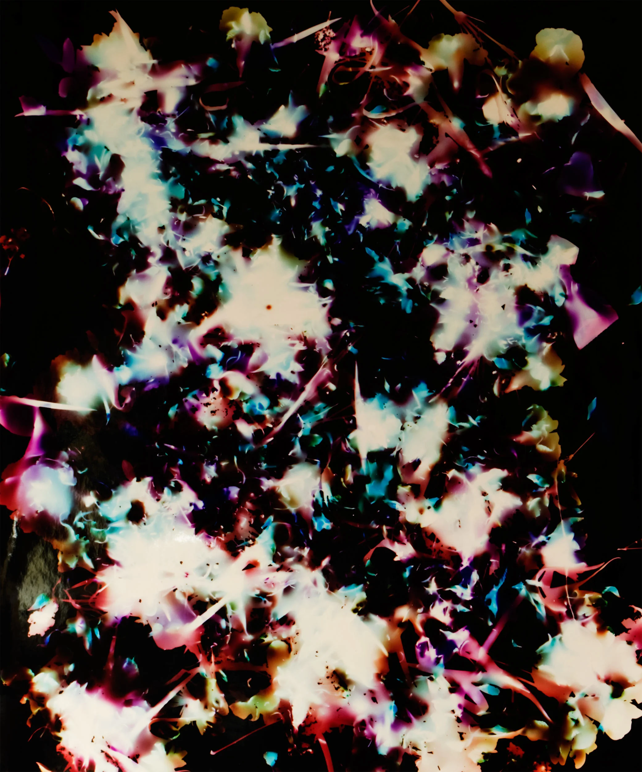 photosynth8.jpg