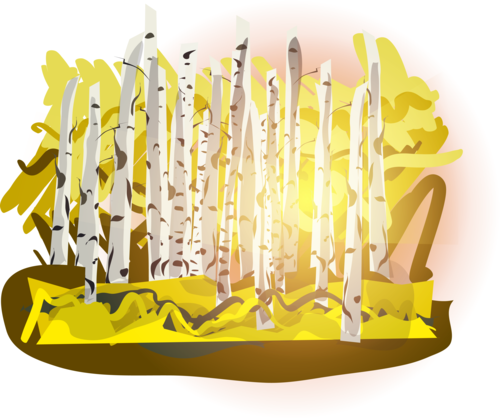 Breaking Bread with Artist Alvin Shi