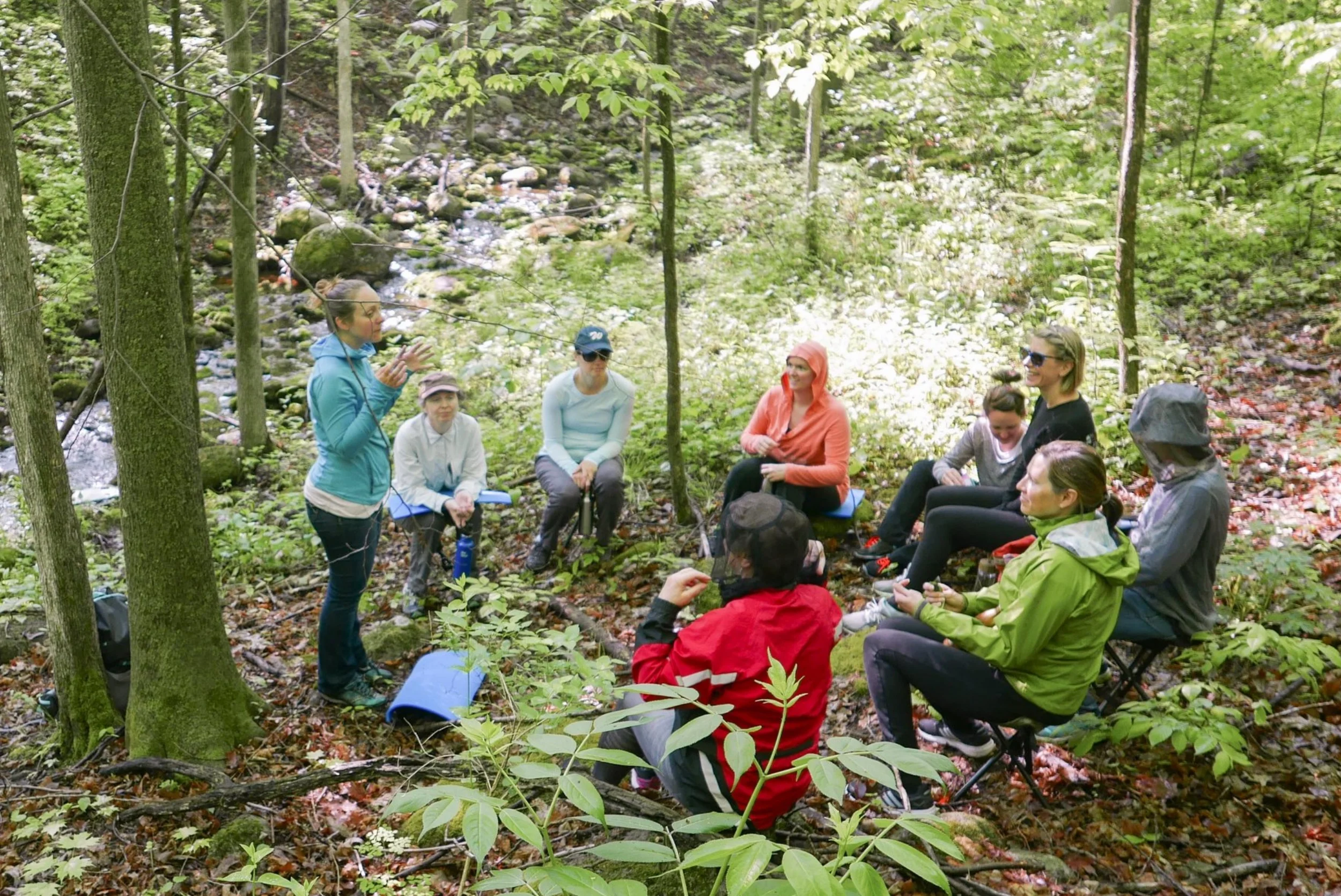 Forest Therapy for KLT