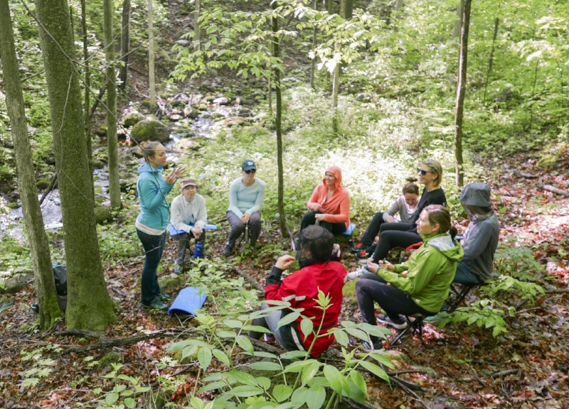 Workshop: Forest Therapy at Jackson Park