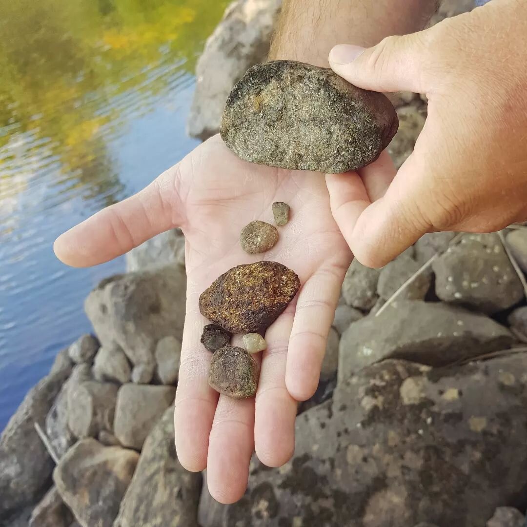 York River treasures! Beautiful stones flecked with sparkling minerals (pyrite? mica?), crayfish chimneys, and more caddisfly casings than I've ever seen before. What a gorgeous place to explore around Bancroft!
.
What is catching your eye today? 
.
