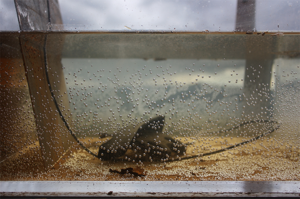 detail (electro-cleaning): plexiglas, soda ash, artifact, wire.