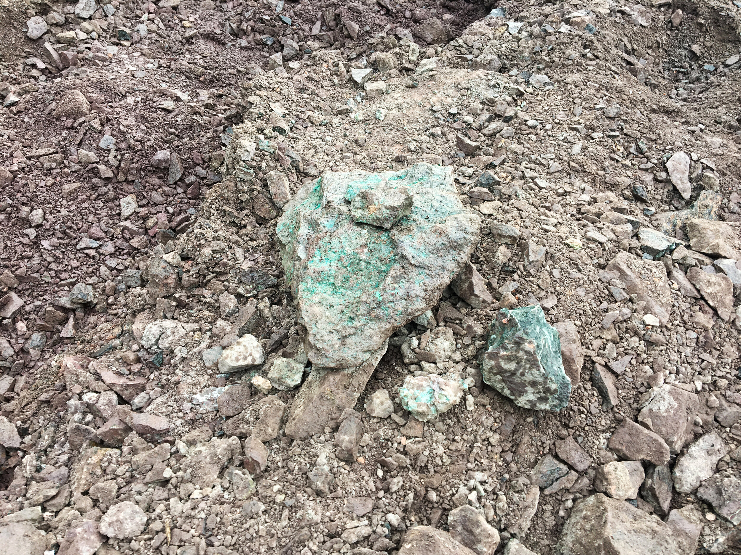 Copper fragments excavated at Cliff Mine tailing piles (excavated 2019)