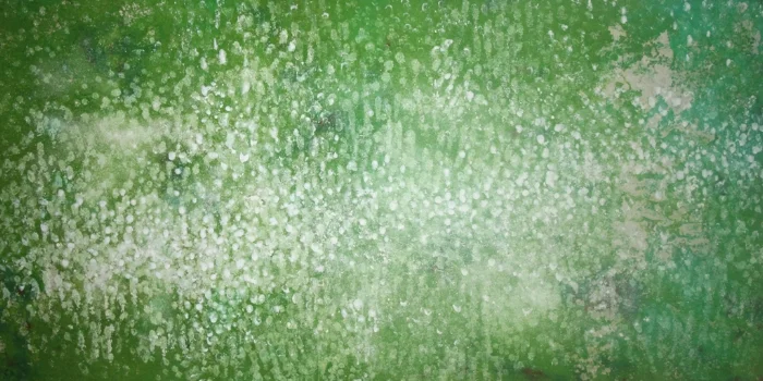 I Come to the Garden Alone 6 / 48"x24" / mixed media on Korean paper
