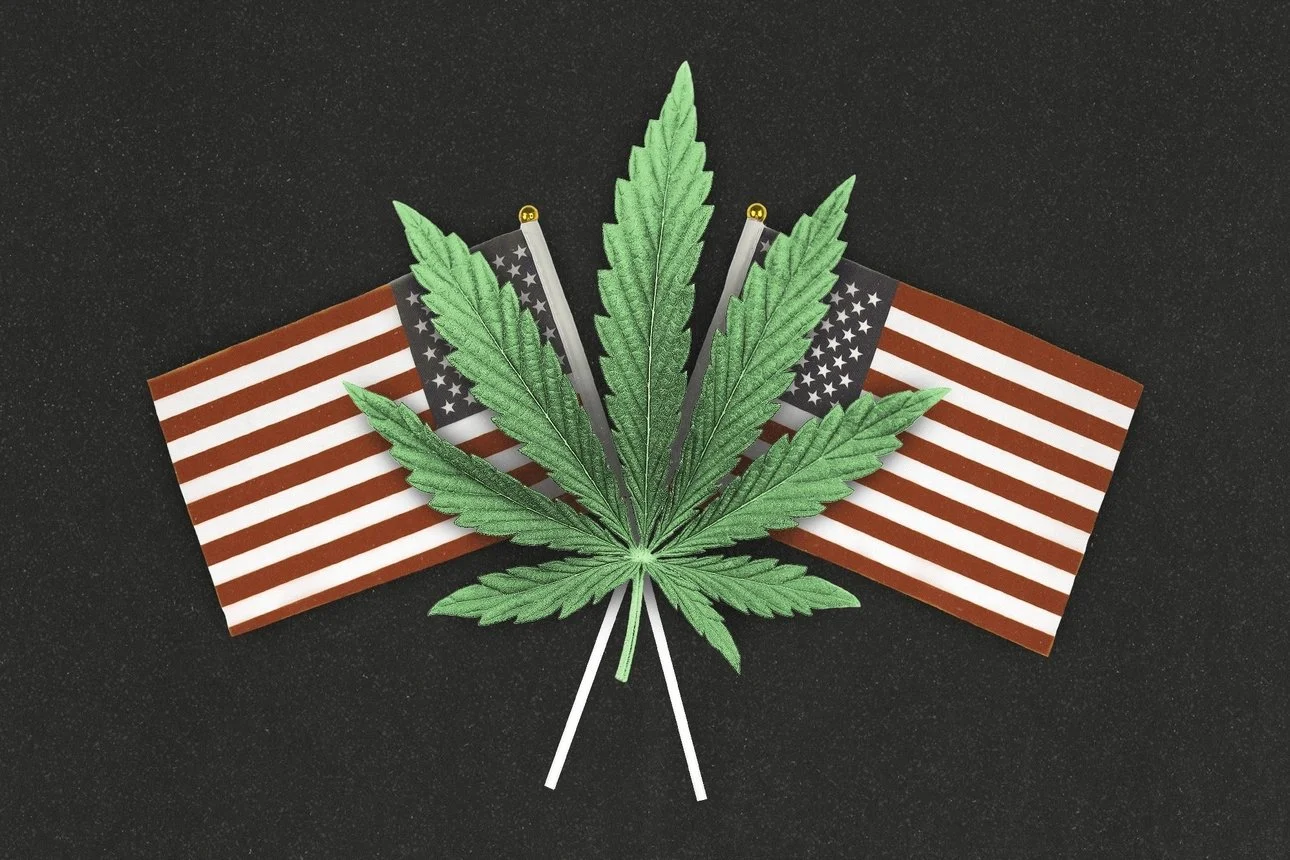 POLITICO: Legal cannabis and immigration