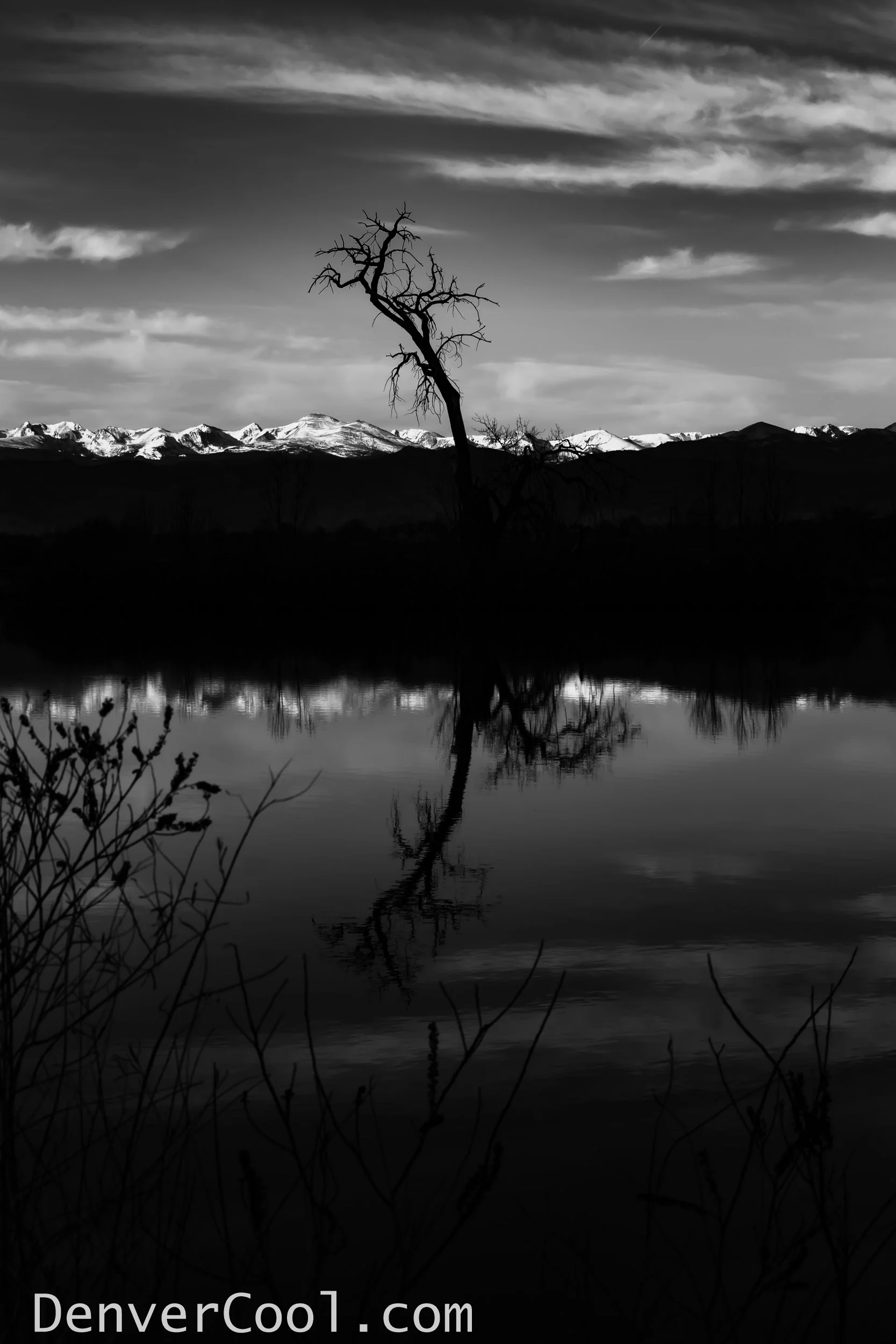 Eagle's Perch