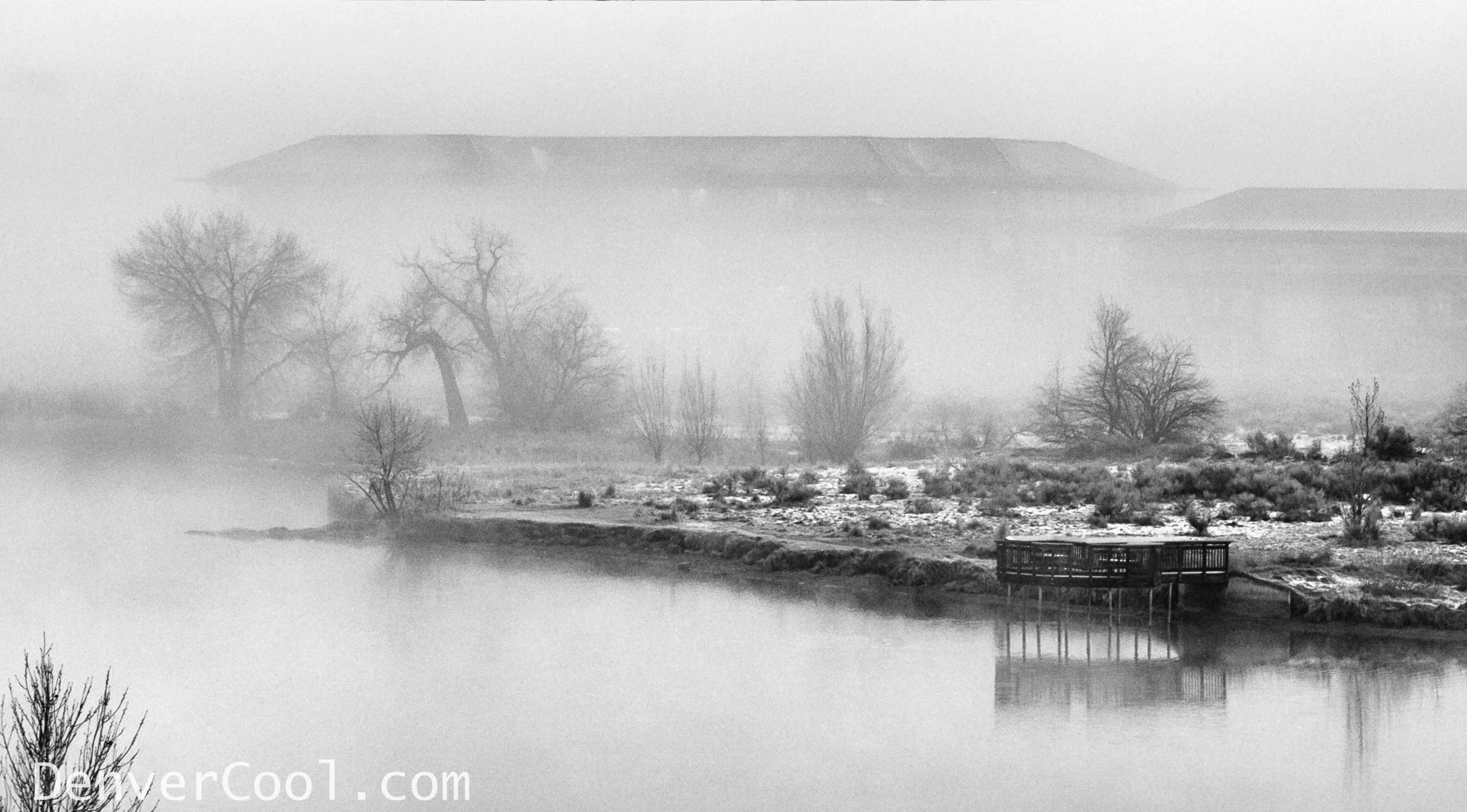 Foggy Morinng on the Lake