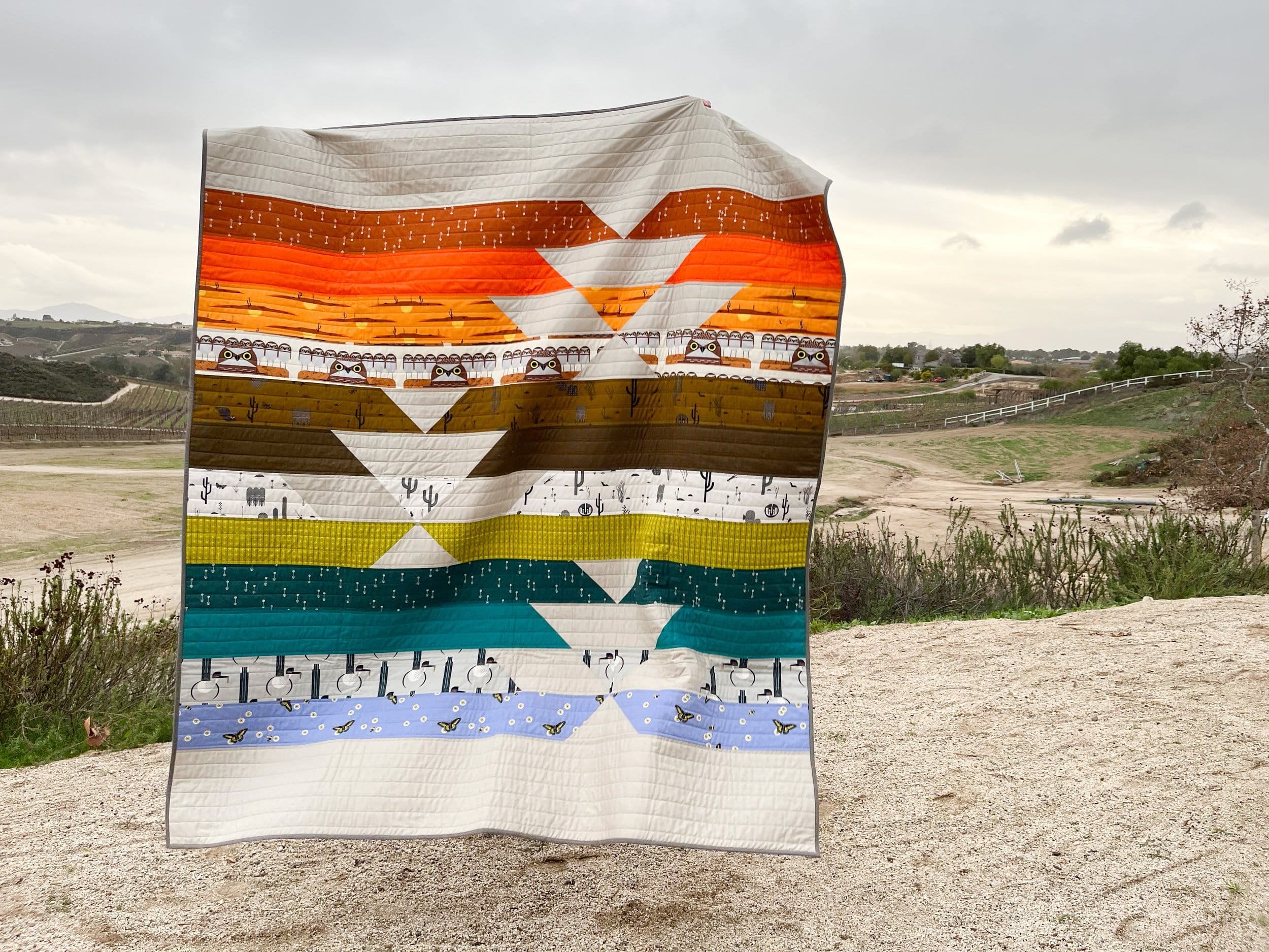 10 - Desert Abundance Charley Harper - La Bizarra Handmade Custom Quilt - Modern Patchwork, Raleigh, North Carolina