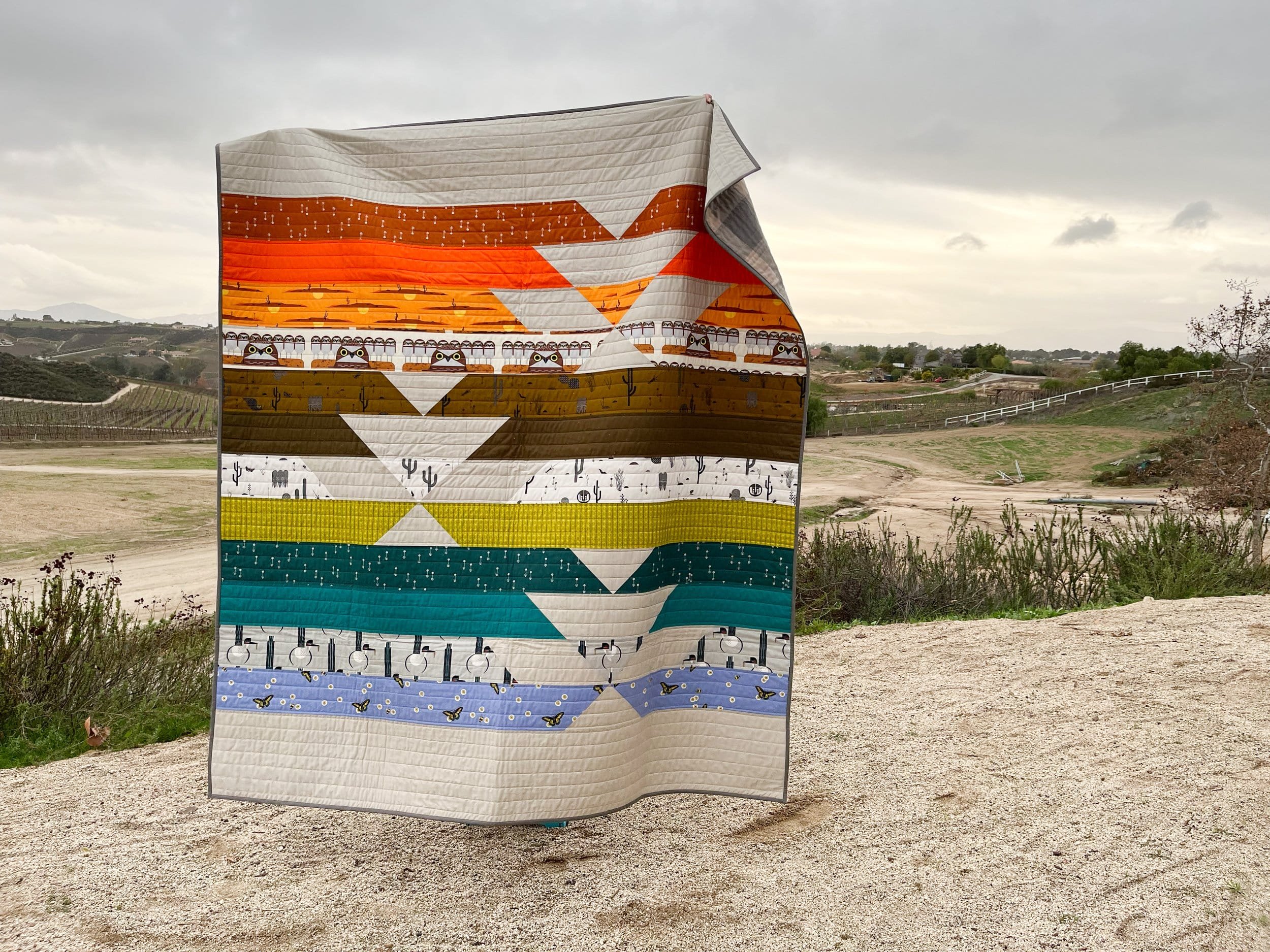 1 - Desert Abundance Charley Harper - La Bizarra Handmade Custom Quilt - Modern Patchwork, Raleigh, North Carolina