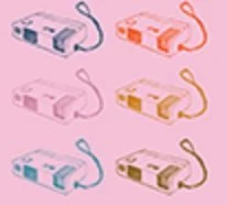 panel cameras.jpg