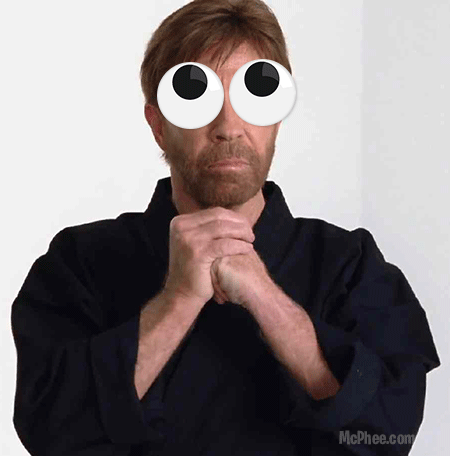 ChuckNorris-Googly-450.gif