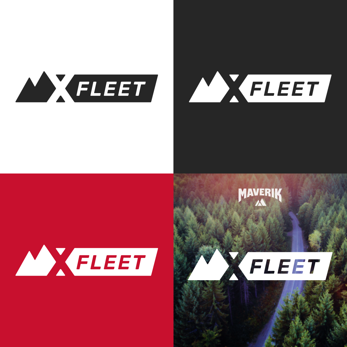 X-FLEET_Logo_Concept_D.png