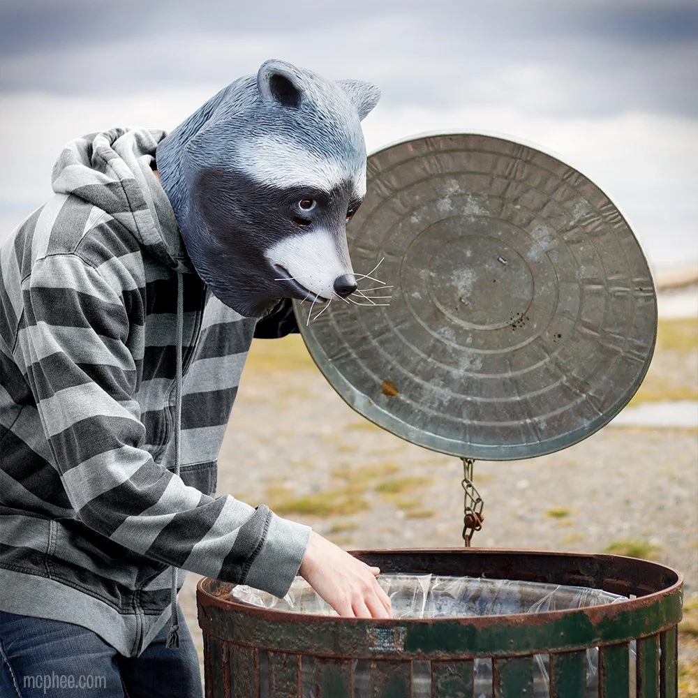 Raccoon Mask