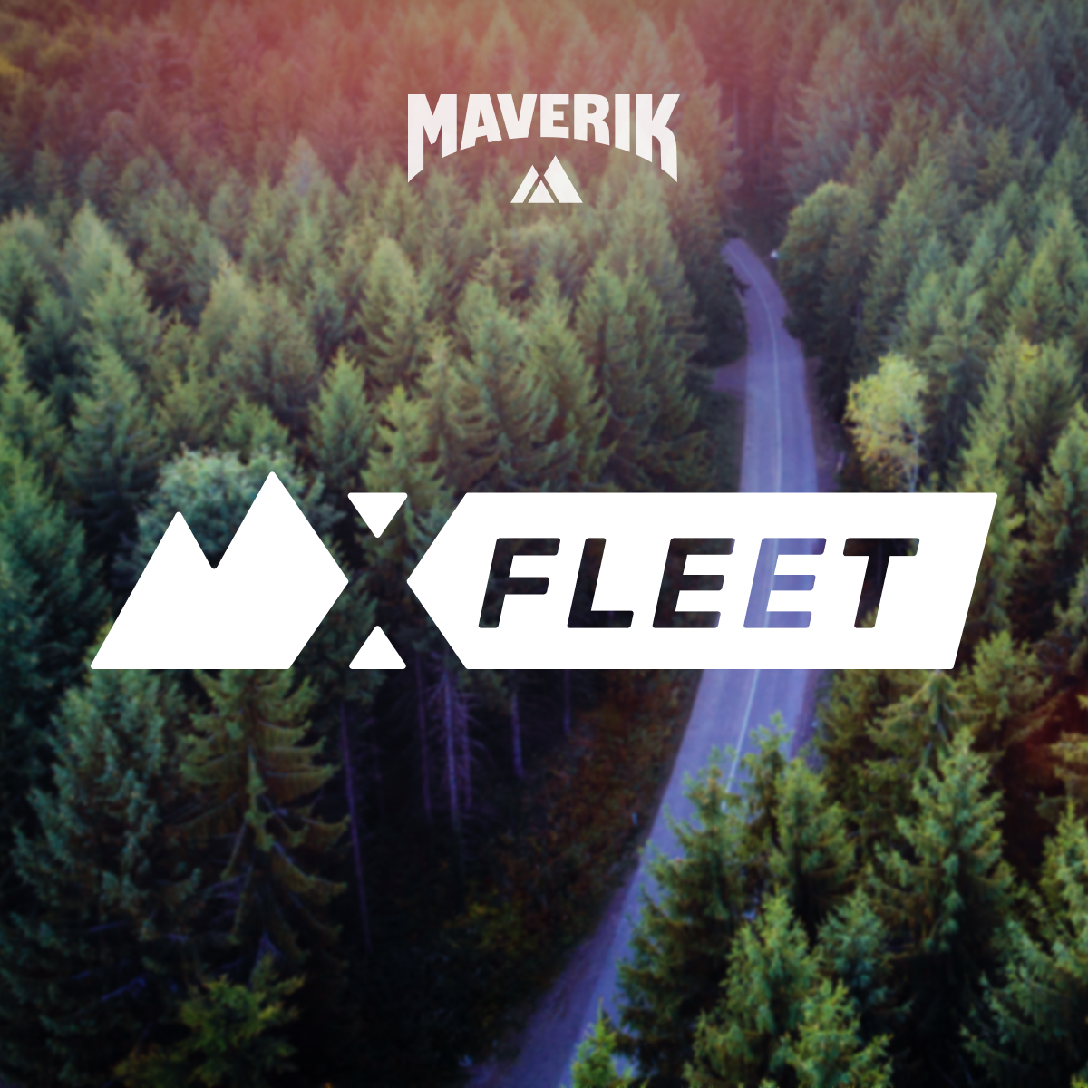 BRANDING / ILLUSTRATION / ADS