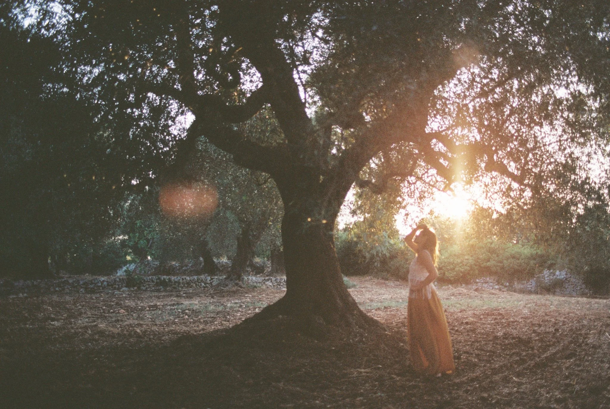 Photography by Sarah Kathleen