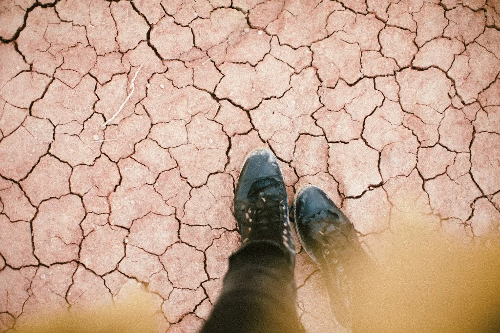 unnamed (9).jpg