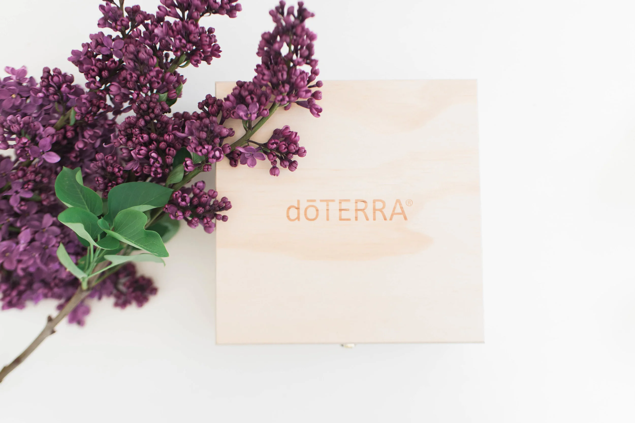 50 simple and powerful ways to use the top 10 essential oils