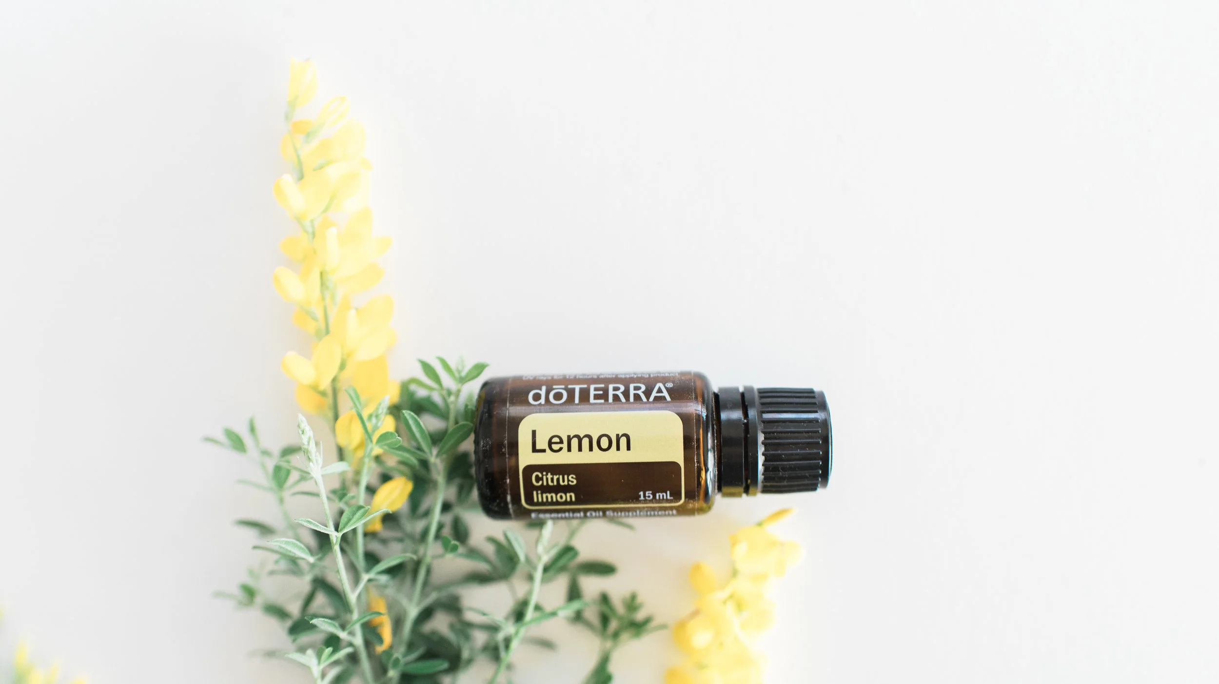 5 best essential oils to support your immune system