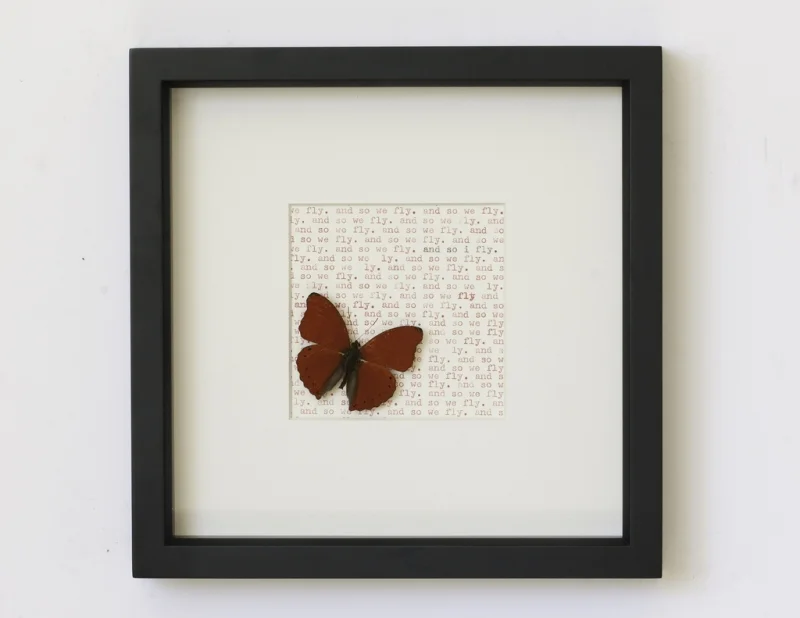 bug-wedding-gift.jpg