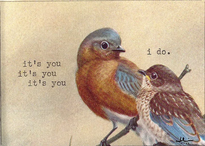 i do (bluebirds)-1.jpg