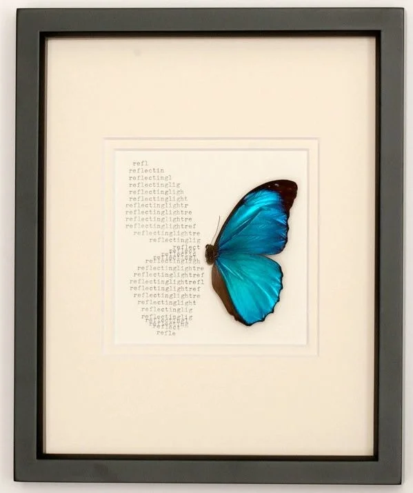 PS blue morpho for artisan day.jpg