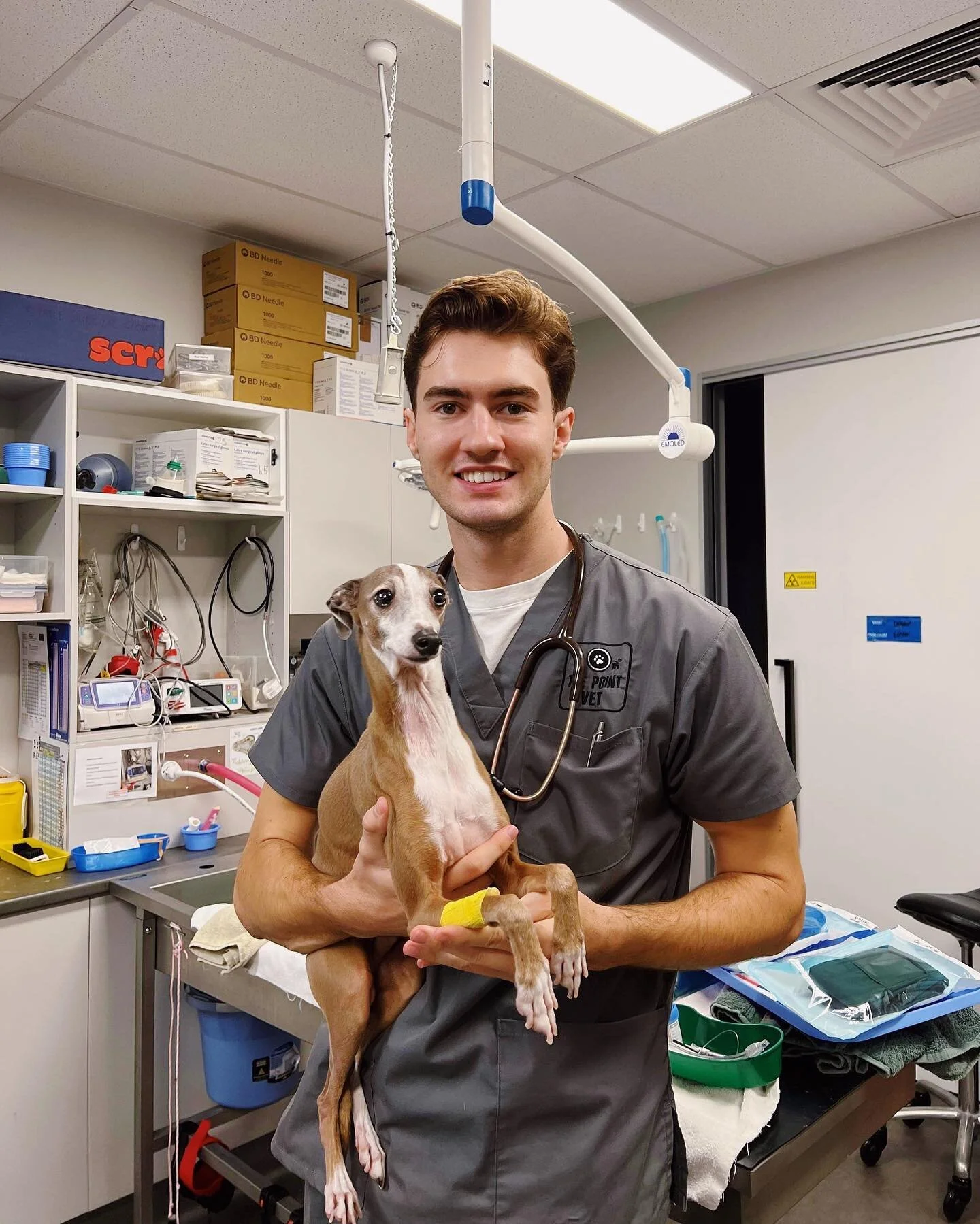 THE POINT VET PARADISE POINT