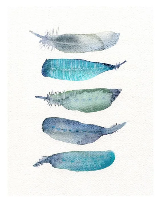 feathers.jpg