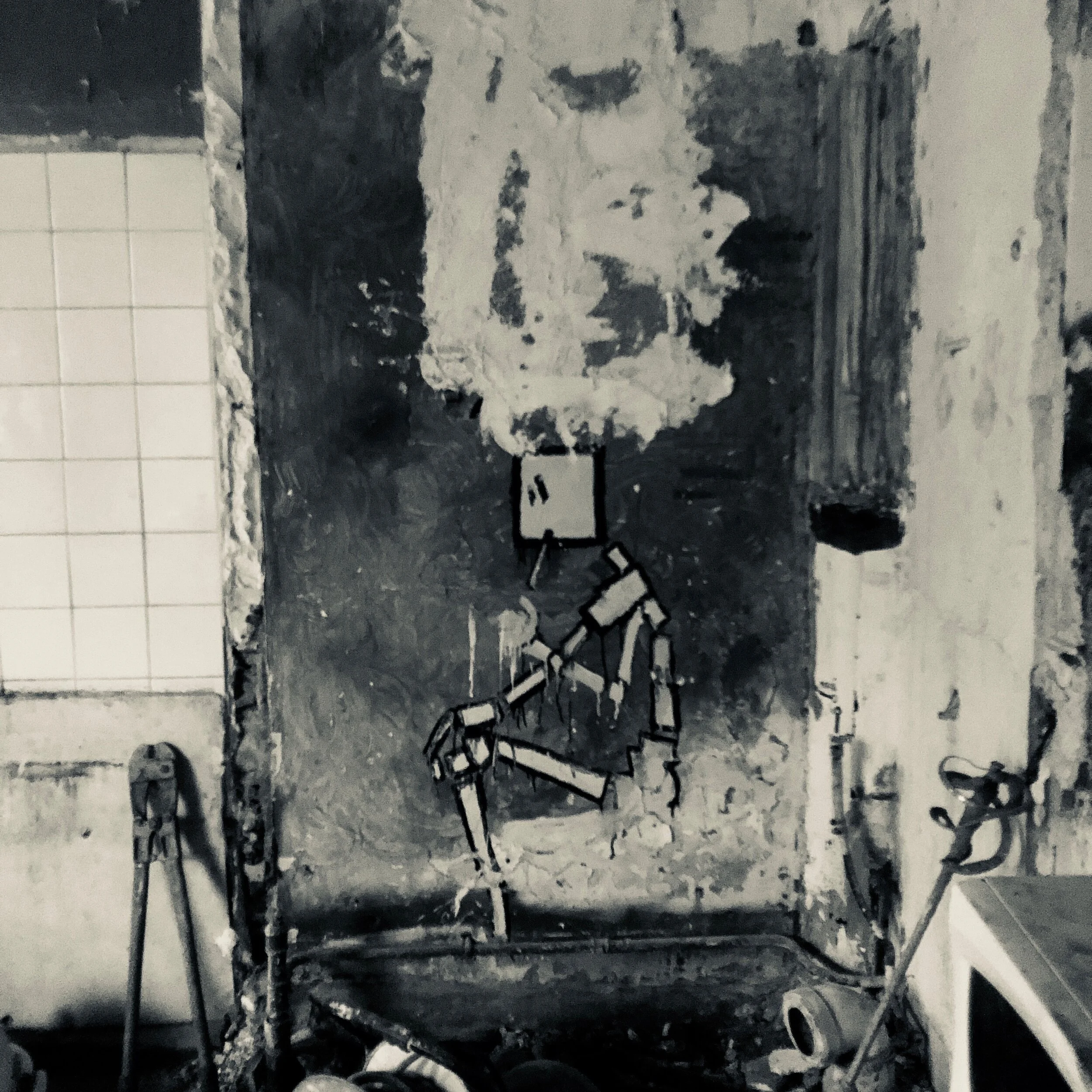 AVANT TRAVAUX- LE SQUAT