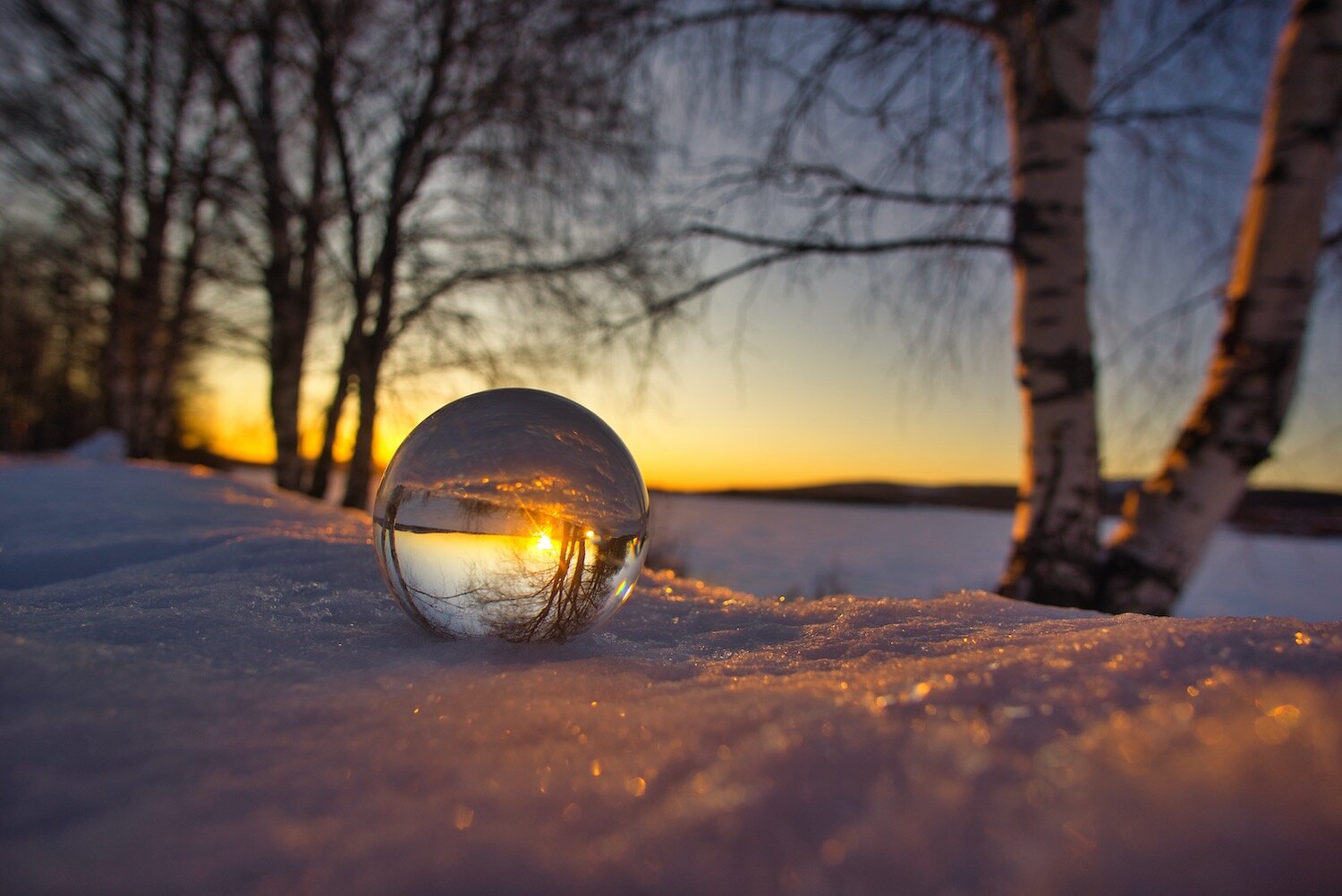 Blog Post 1 - our new website