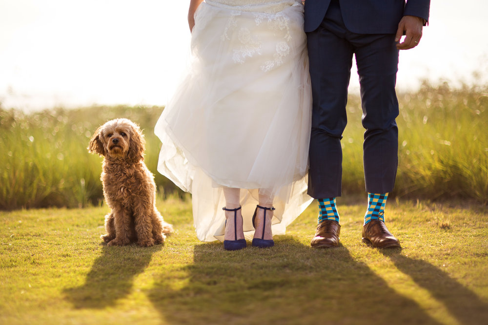 The Black Stallion Wedding - Bride & Groom