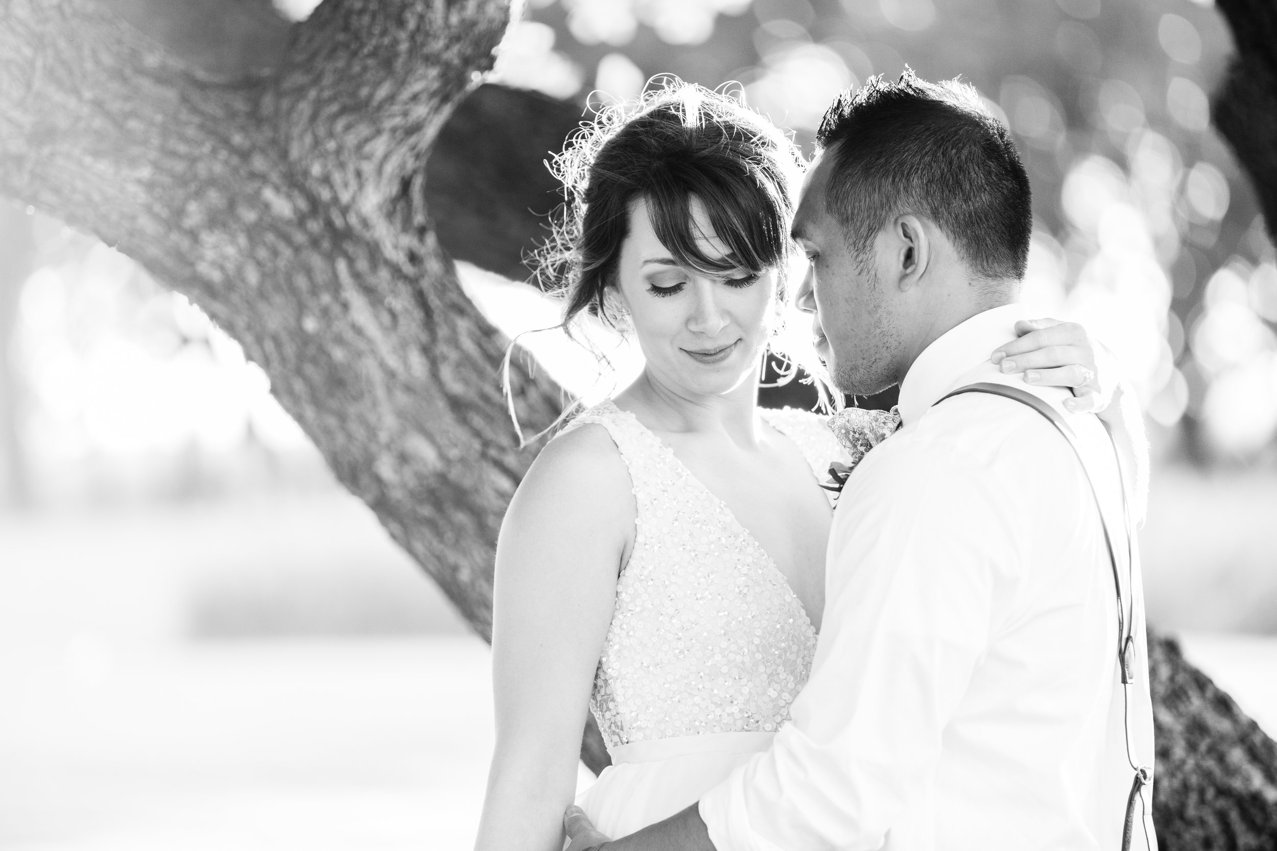 The Black Stallion Wedding - Bride & Groom